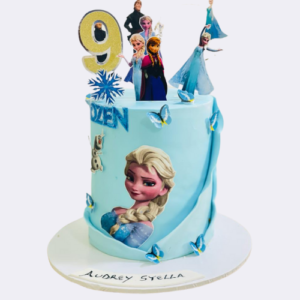 Frozen Cake